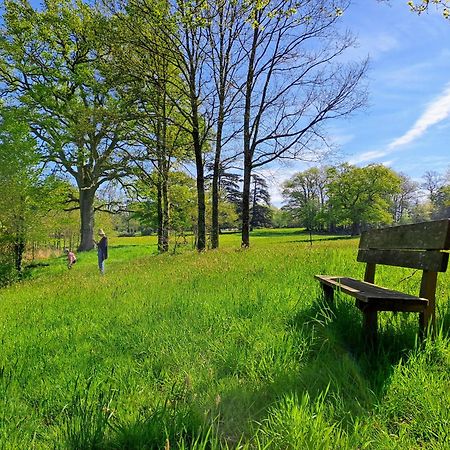 Вілла Domaine Des Roches Blanches Le Pin  Екстер'єр фото