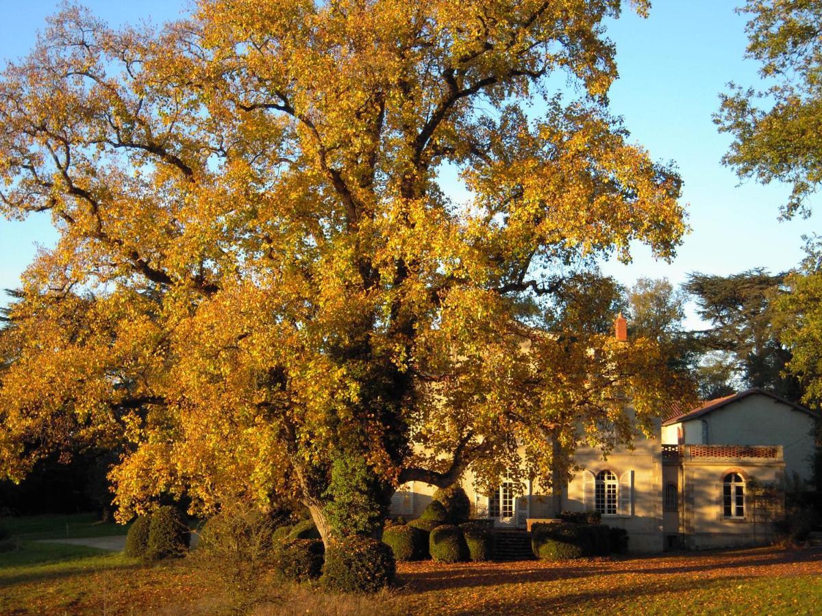 Вілла Domaine Des Roches Blanches Le Pin  Екстер'єр фото