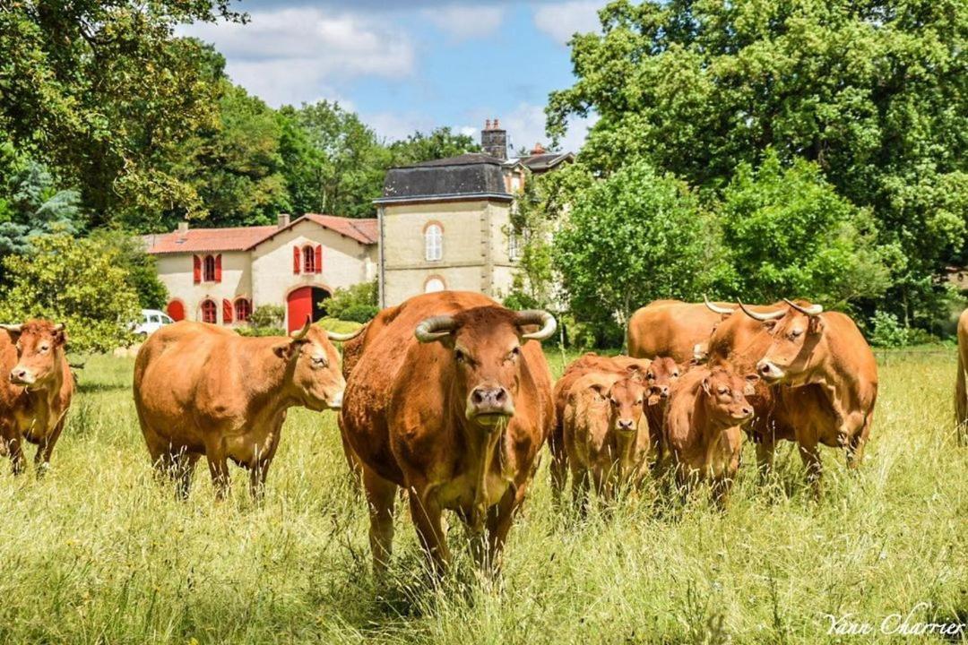 Вілла Domaine Des Roches Blanches Le Pin  Екстер'єр фото