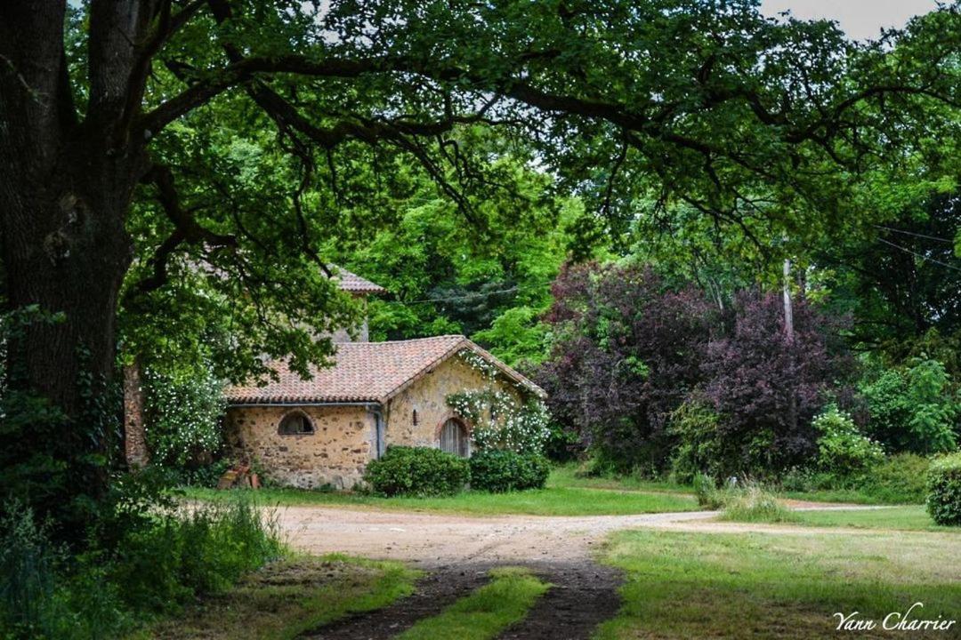 Вілла Domaine Des Roches Blanches Le Pin  Екстер'єр фото