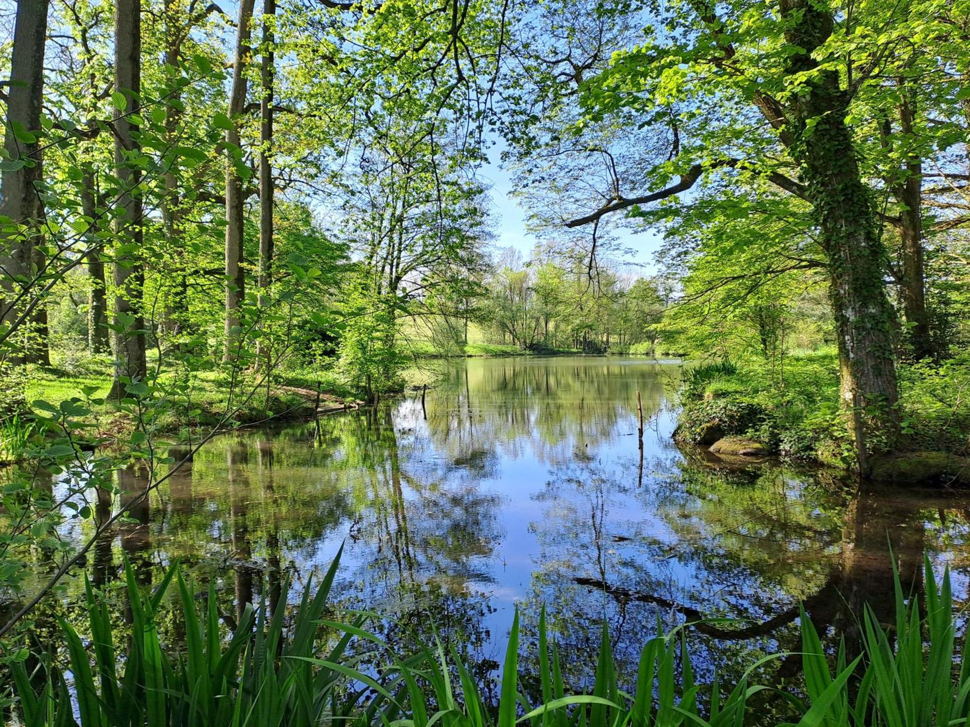 Вілла Domaine Des Roches Blanches Le Pin  Екстер'єр фото