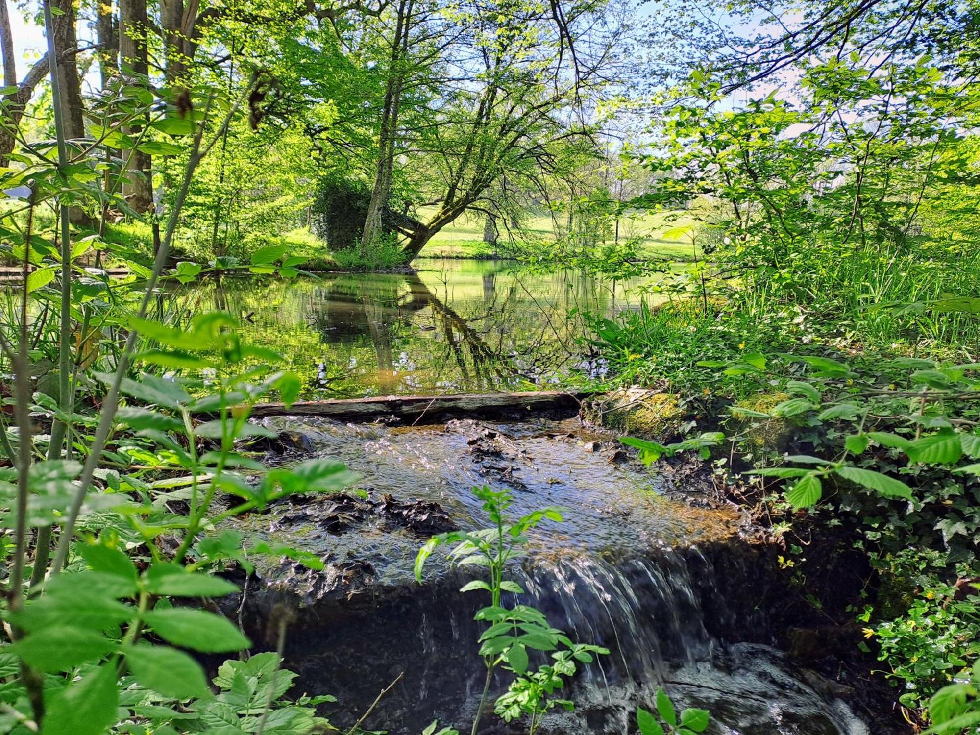 Вілла Domaine Des Roches Blanches Le Pin  Екстер'єр фото