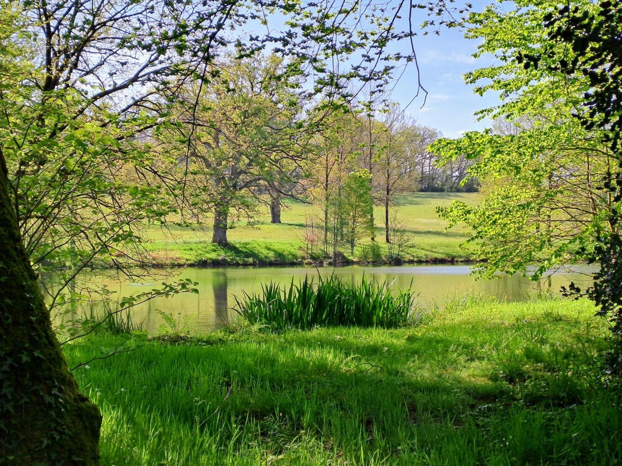 Вілла Domaine Des Roches Blanches Le Pin  Екстер'єр фото