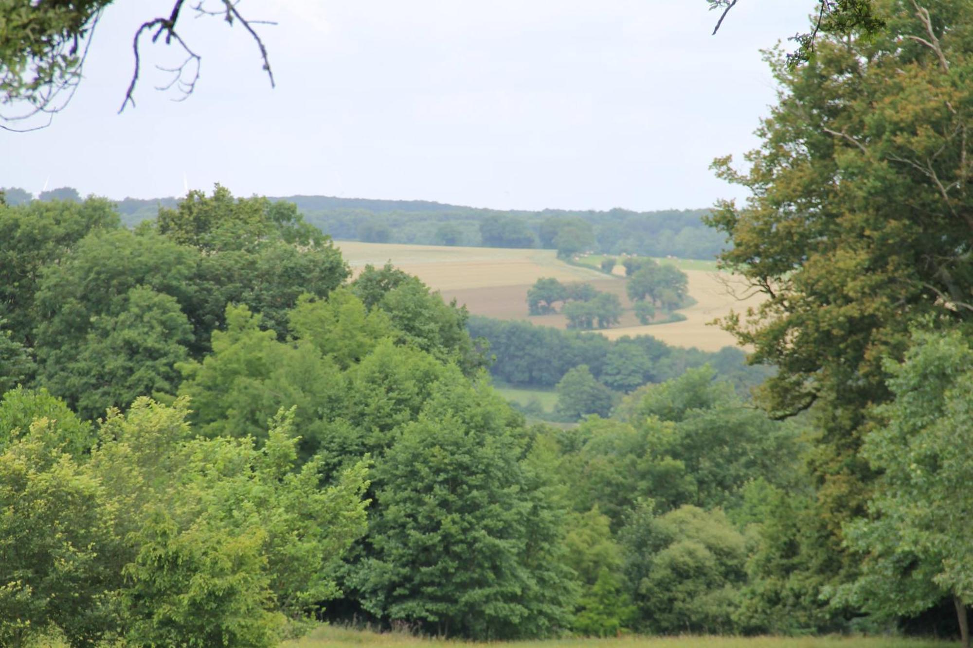 Вілла Domaine Des Roches Blanches Le Pin  Екстер'єр фото