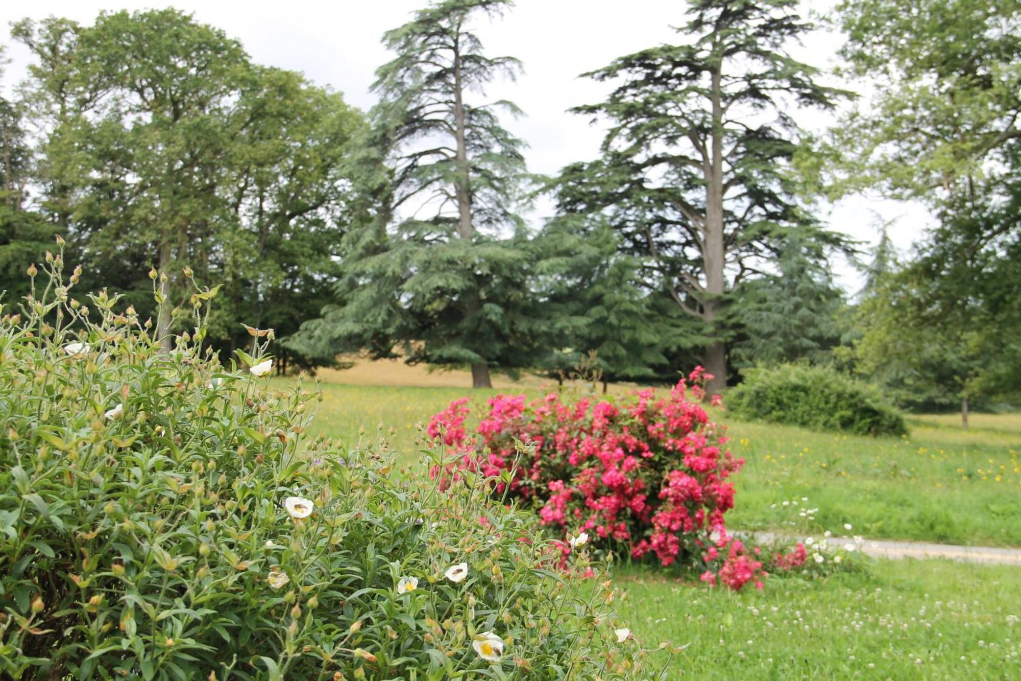 Вілла Domaine Des Roches Blanches Le Pin  Екстер'єр фото