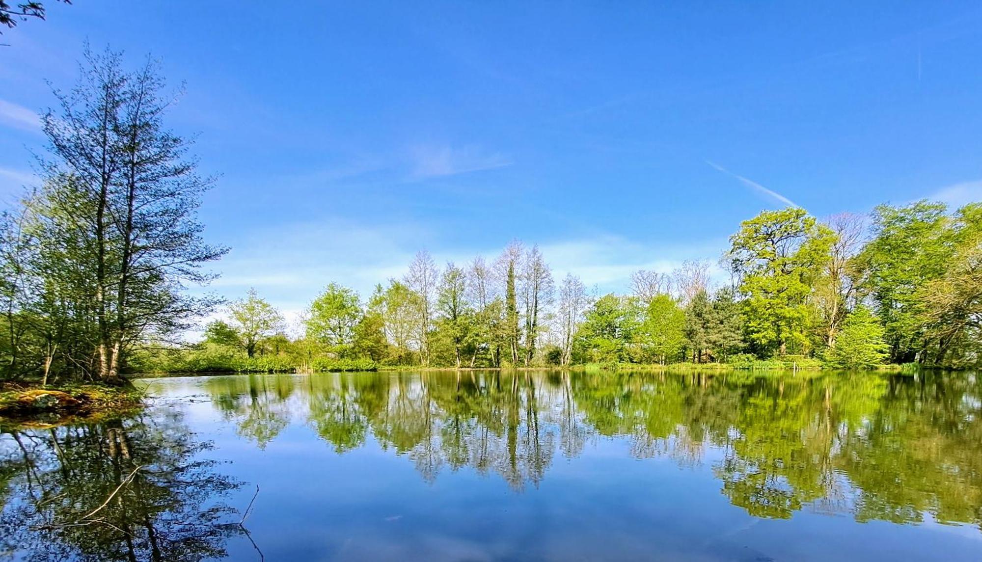 Вілла Domaine Des Roches Blanches Le Pin  Екстер'єр фото