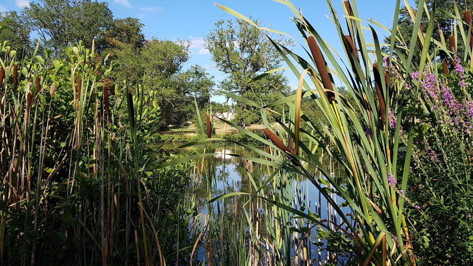 Вілла Domaine Des Roches Blanches Le Pin  Екстер'єр фото