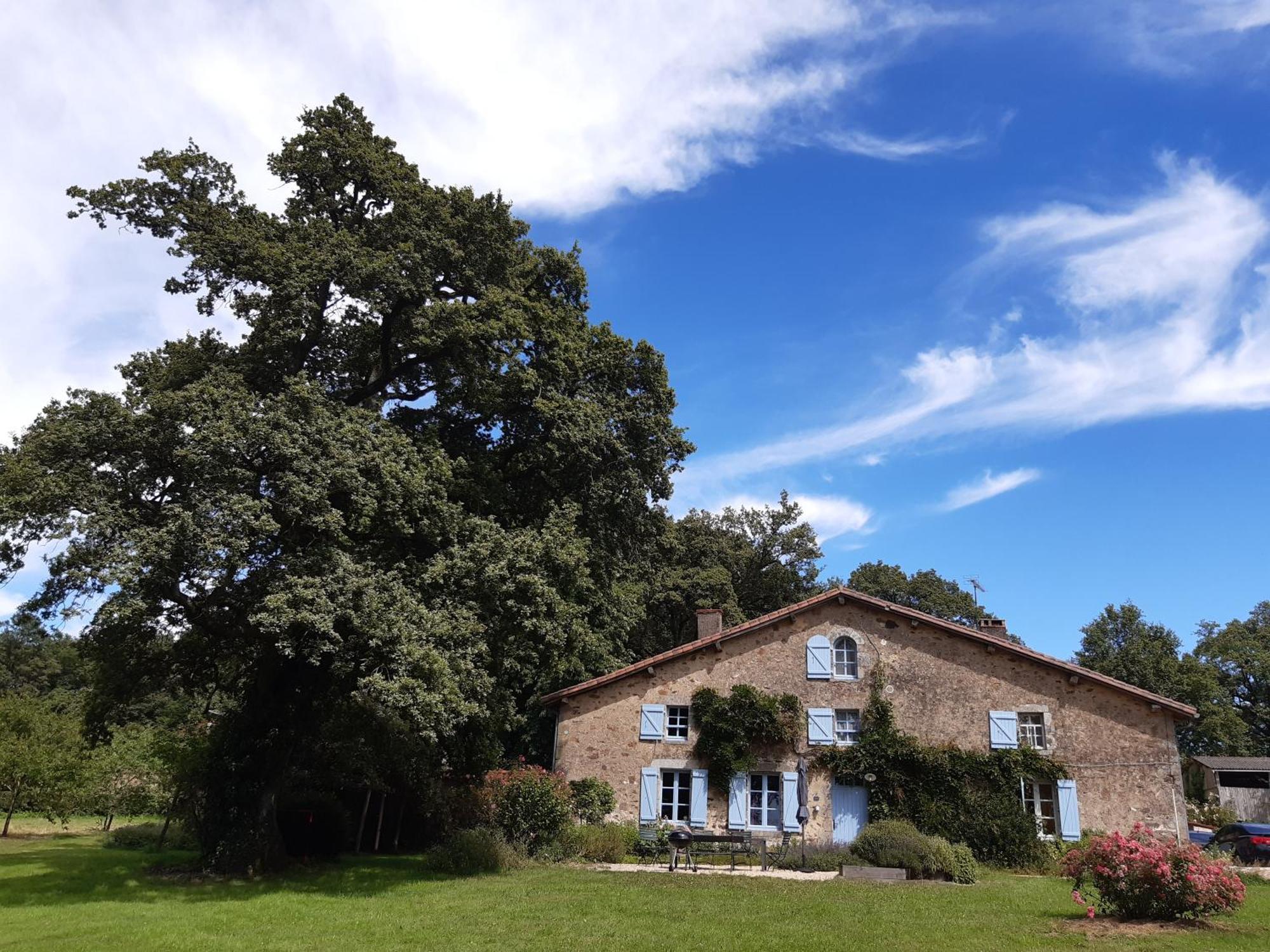 Вілла Domaine Des Roches Blanches Le Pin  Екстер'єр фото