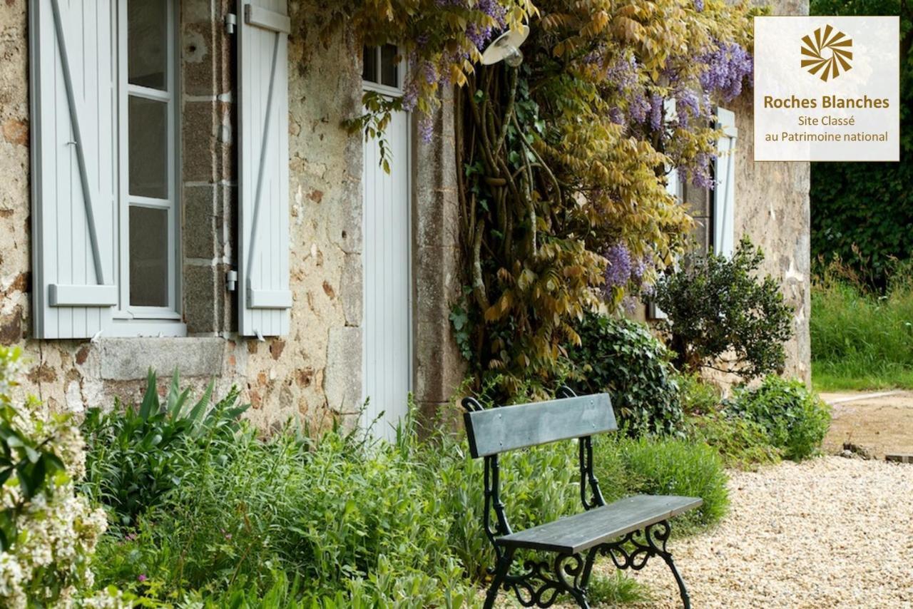 Вілла Domaine Des Roches Blanches Le Pin  Екстер'єр фото